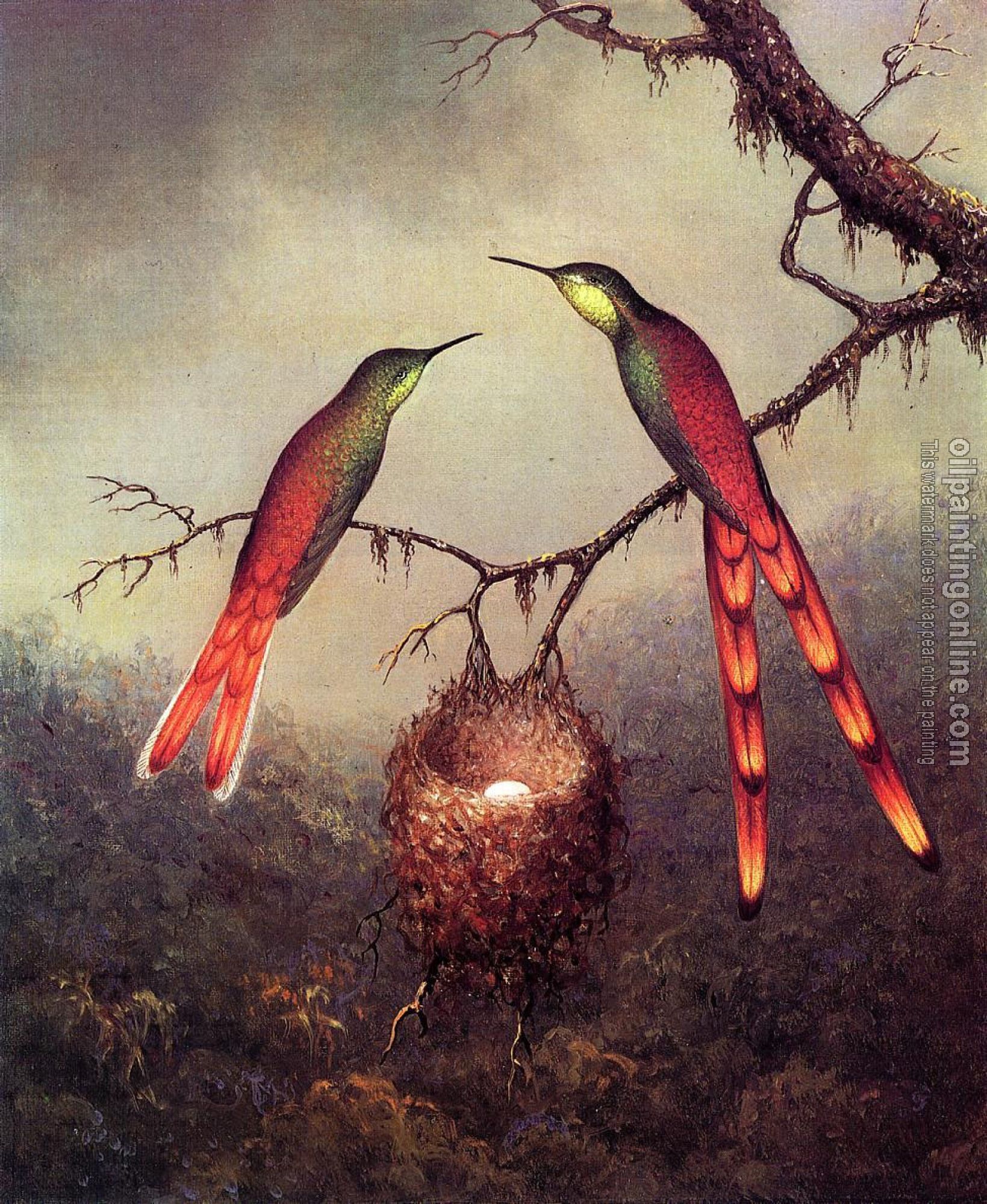 Heade, Martin Johnson - Two Hummingbirds Garding an Egg